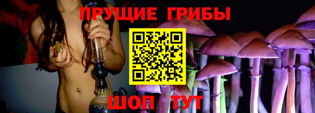 Галлюциногенные грибы Magic Shrooms  Вход с VPN  Сызрань  Псилоцибиновые грибы Psilocybe 
